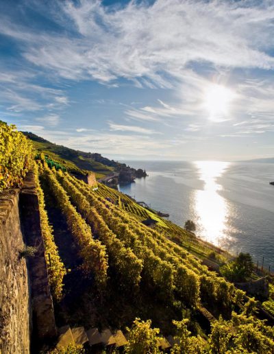 View of Lake Geneva and the Dézaley vineyards