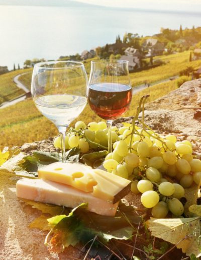 Dégustation de vin en Lavaux – Lausanne Tourisme – Site officiel
