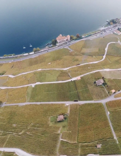 Aerial view of the Lavaux, the terrassed vineyards and Lake Geneva