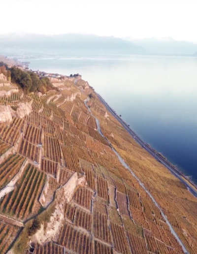 Aerial view of the Lavaux and the terraced vinyards of the Dézaley