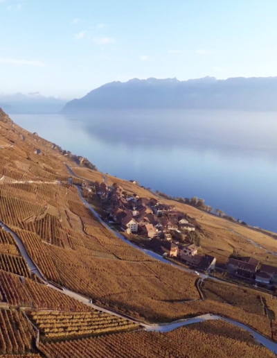 Aerial view of the village of Epesses in the Lavaux