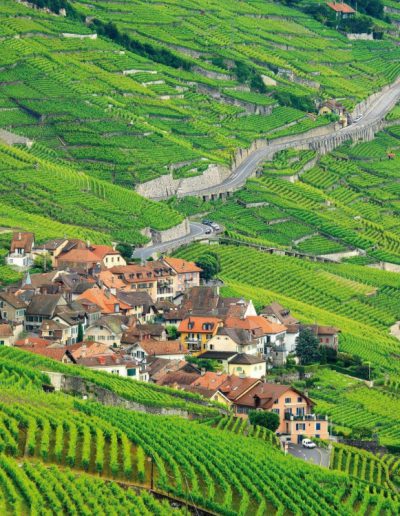 View of the village of Epesses in the Lavaux