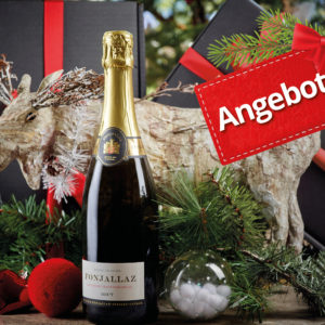 Weihnachtsangebot - Blanc de Noir Vaudois AOC - 12 Flaschen