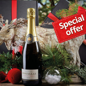 Christmas Offer - Blanc de Noir Vaudois AOC - 12 bottles